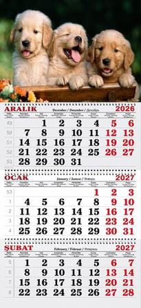 2027 Yılı Gemici Takvimi-Golden Kardeşler