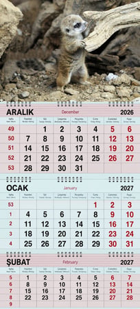 2027 Yılı Gemici Takvimi-Mirket
