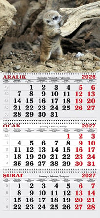 2027 Yılı Gemici Takvimi-Mirket