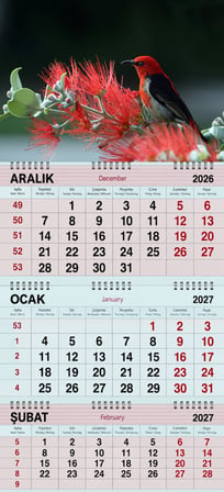 2027 Yılı Gemici Takvimi- Kızıl Bal Kuşu