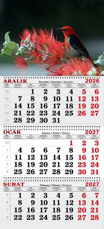2027 Yılı Gemici Takvimi- Kızıl Bal Kuşu