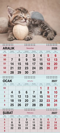 2027 Yılı Gemici Takvimi----MİNNOŞ TEKİR KEDİ