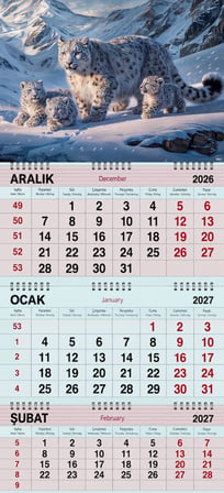 2027 Yılı Gemici Takvimi- Kar Leoparı ve Yavruları