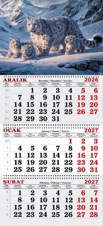 2027 Yılı Gemici Takvimi- Kar Leoparı ve Yavruları