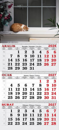 2027 Yılı Gemici Takvimi-Camın Önündeki Kedi