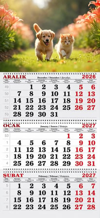 2027 Yılı Gemici Takvimi-Bahçede Kedi ve Köpek