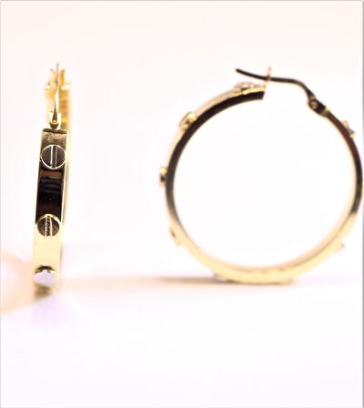 Altın Çivili Küpe