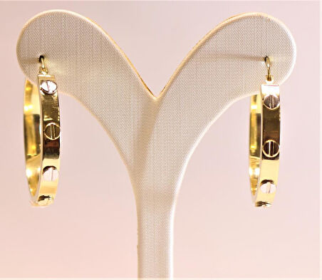 Altın Çivili Küpe