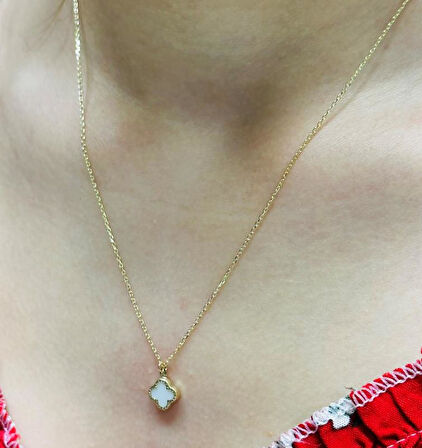 14 Ayar Beyaz Yonca Kolye Ucu ve Zinciri