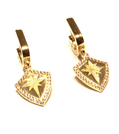  14 Ayar Altın Kutup Yıldızı Halka Küpe 25168