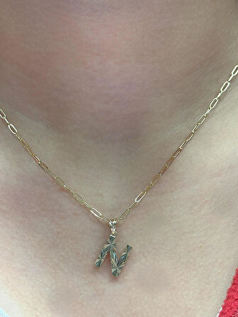 Altın 3 Boyutlu N Harfli Ataç Zincir