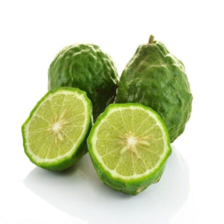 Yoğun Kokulu Yaprakları Olan Nadir Tüplü Kaffir Lime Fidanı Seneye Meyve Verir Durumda