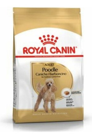 Royal Canin Poodle Adult 3 kg