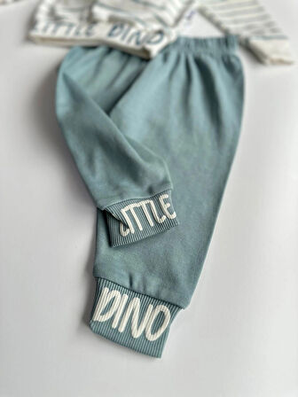 Küçük Dino Çizgili Erkek Bebek İkili Takım