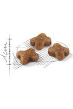 Royal Canin Royal Canın Kıtten 2kg