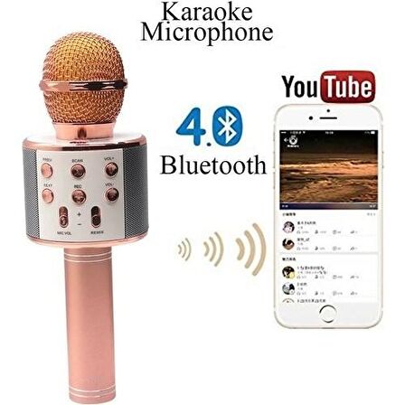 Case 4U Karaoke Mikrofon Bluetooth Hoparlör Aux Usb Mikro Sd Kart Girişli Rose Gold