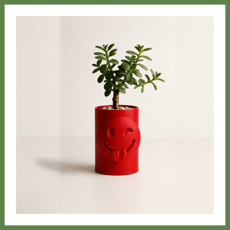 HOBİBAHÇEM 3D Baskı Emoji Planter - Göz Kırpan Yüzlü Sukulent Saksısı-Kırmızı HB006