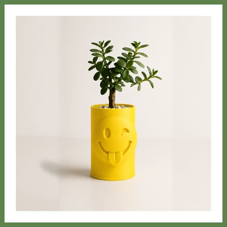 HOBİBAHÇEM 3D Baskı Emoji Planter - Göz Kırpan Yüzlü Sukulent Saksısı-Sarı HB006