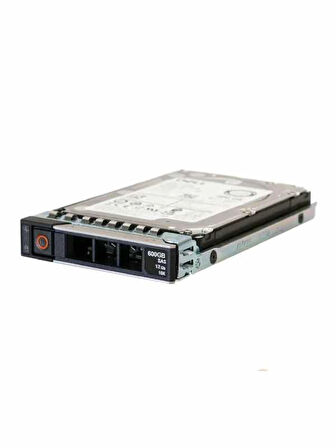 DELL EnterPrise 600GB 10K 12G SAS 2.5'' Sunucu Harddisk XXTRP 0XXTRP GTYCR 0GTYCR AL14SEB060N 4WX8Y