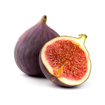 Bursa Siyahı (Dürdane) Incir Fidanı 50-100 cm Açık Kök
