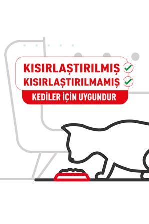 Royal Canin British Shorthair Yaş Kedi Maması 12 Adet x 85 gr
