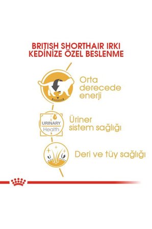 Royal Canin British Shorthair Yaş Kedi Maması 12 Adet x 85 gr