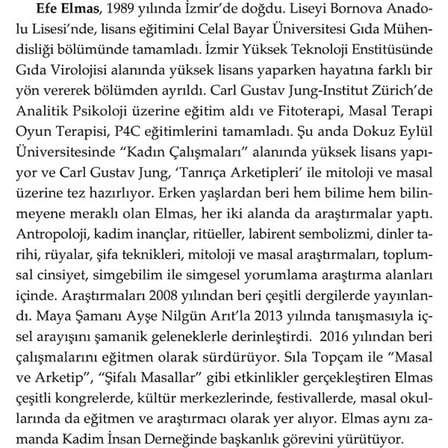 Doğan Novus Labirent Efe Elmas Ciltsiz Kitap 224 Sayfa Doğan Yayınları 2023