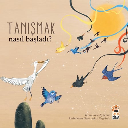Sincap Kitap Nasıl Başladı? Her Şey Seninle Başladı 3 (3 Kitap Takım) - Ayşe Aydemir