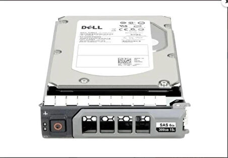 DELL EnterPrise 300GB 10K 6G SAS 3.5'' Sunucu Harddisk ST3300555SS 0RN828