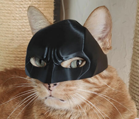 Batcat-Batman Giyilebilir Kedi Maskesi Evcil Hayvan Maskesi