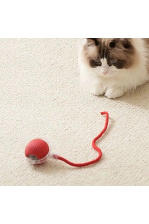 Patibon Şarjlı Otomatik Hareketli Kedi Köpek Için 360 Derece Dönen Interaktif Akıllı Oyun Topu