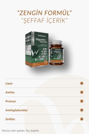 Wellvalens Digestive Enzymes İkili Paket 60 Tablet | 5’Li Enzim Kompleksi