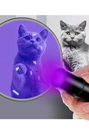 ultraviyole kedi köpek mantar idrar gösteren uv ışıklı büyük boy el feneri