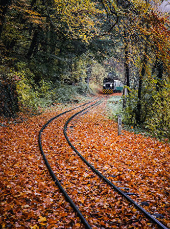 Sonbahar Raylar ve Tren Çerçevesiz 50x65 Sayılarla Boyama Hobi Seti