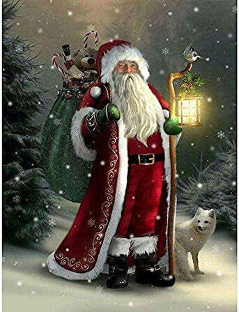 Noel Babası-2 Çerçevesiz 40x50 Sayılarla Boyama Hobi Seti