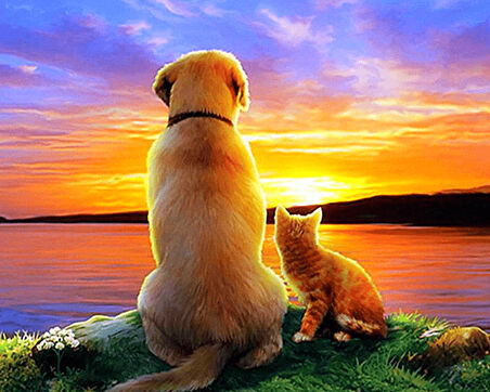 Gün Batımı ve İki Dost Çerçevesiz 40x50 Sayılarla Boyama Hobi Seti