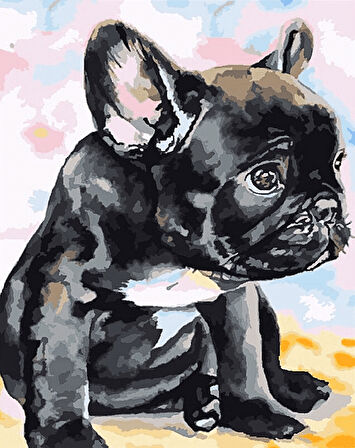 Siyah Köpek Yavrusu Çerçevesiz 40x50 Sayılarla Boyama Hobi Seti