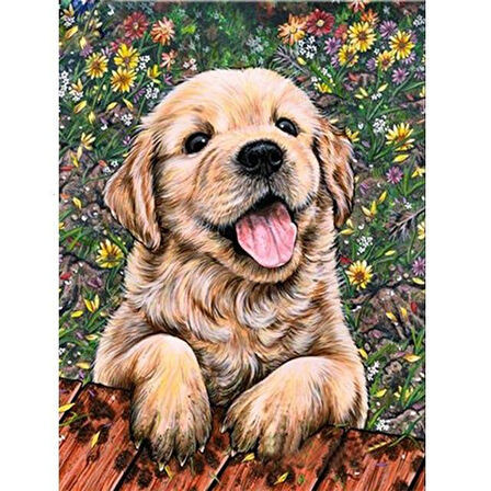 Sevimli Yavru Köpek 1 Çerçevesiz 50x65 Sayılarla Boyama Hobi Seti