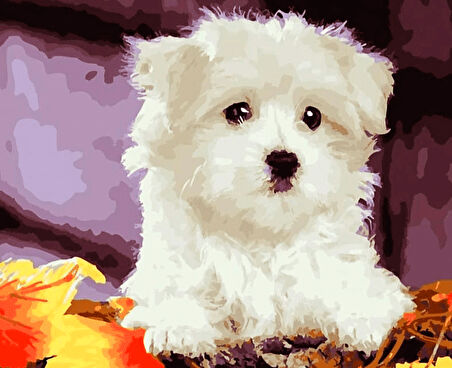 Sevimli Yavru Köpek 2 Çerçevesiz 60x75 Sayılarla Boyama Hobi Seti