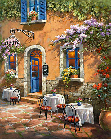 Fransız Kafesi Çerçevesiz 90x110 Sayılarla Boyama Hobi Seti