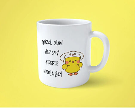 Güzel olan herşey kısadır mesela ben espirili baskılı kupa bardak