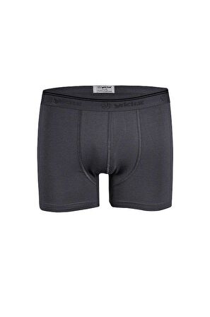 Yıldız 369 Füme Formen Likralı Boxer