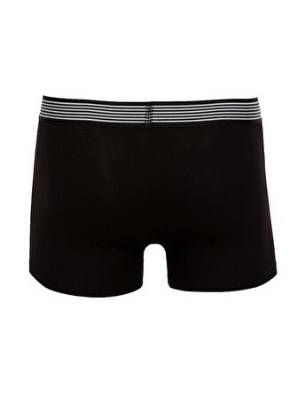 Pierre Cardin 330 Erkek Boxer