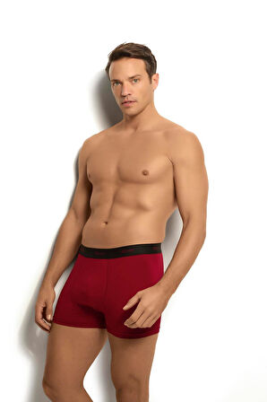 Jiber 321 Erkek Modal Pamuklu Boxer