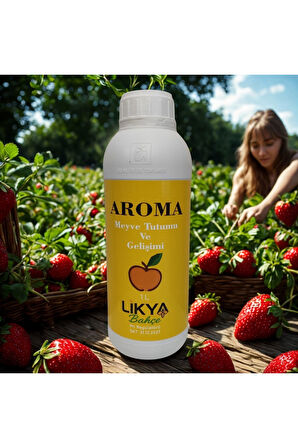 AROMA AĞAÇ BESİNİ