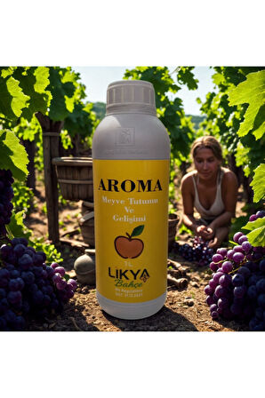 AROMA AĞAÇ BESİNİ