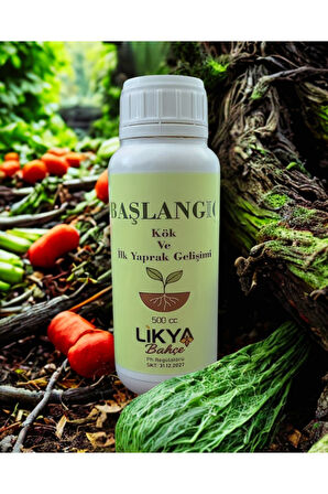 BAŞLANGIÇ SEBZE VE MEYVE BİTKİ BESİNİ