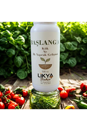 BAŞLANGIÇ SEBZE VE MEYVE BİTKİ BESİNİ