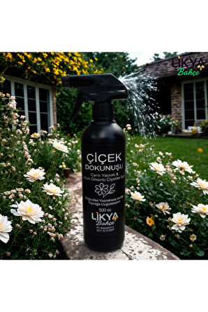 ÇİÇEK DOKUNUŞU / ÇİÇEK BESİNİ