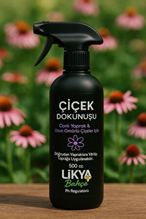 ÇİÇEK DOKUNUŞU / ÇİÇEK BESİNİ